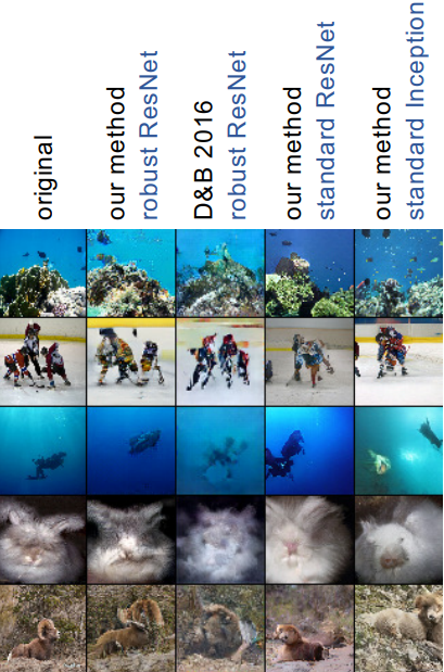 Comparison of original images and reconstructions from ResNet, Inception, and robust models