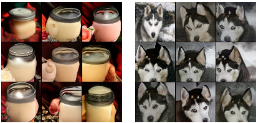 Noise resampling for Non-robust ResNet showing significant image content variations